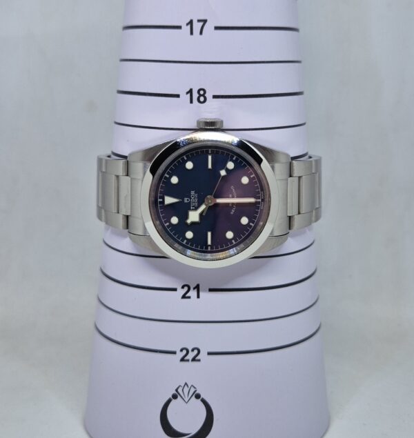 20260615_224013 Tudor Black Bay 41 M79540